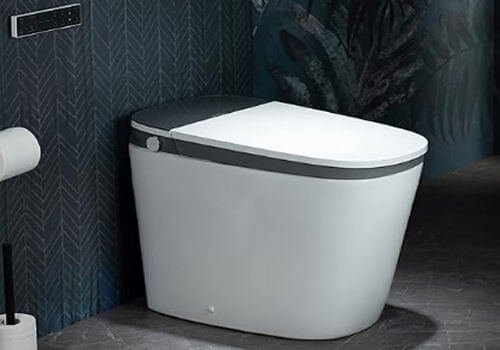 The Woodbridge B0930S smart bidet toilet