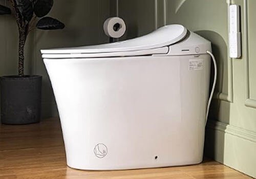 Woodbridge LT610 smart toilet